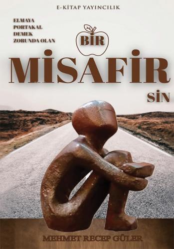 Elmaya Portakal Demek Zorunda Olan Bir Misafirsin  Frontansicht 1