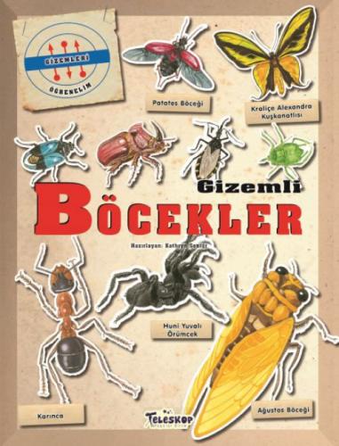 Gizemleri Öğrenelim - Gizemli Böcekler  Frontansicht 1