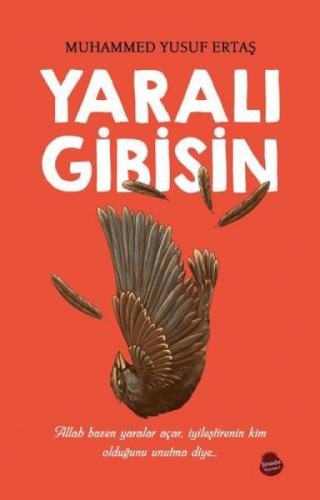 Yaralı Gibisin  Frontansicht 1