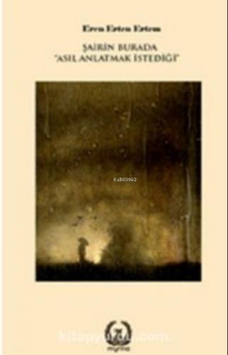 Şairin Burada 'Asıl Anlatmak İstediği'  Frontansicht 1