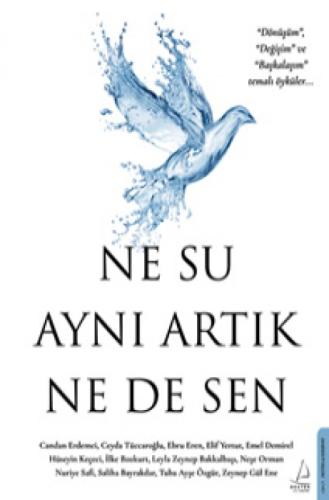 Ne Su Aynı Artık Ne de Sen  Frontansicht 1