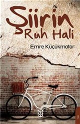 Şiirin Ruh Hali  Frontansicht 1