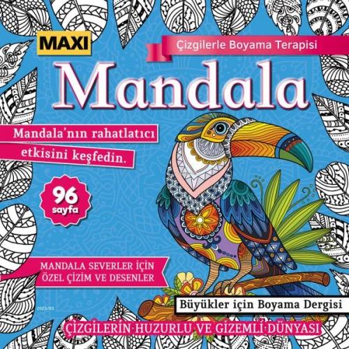 Maxi Mandala Çizgilerle Boyama Terapisi 11  Frontansicht 1