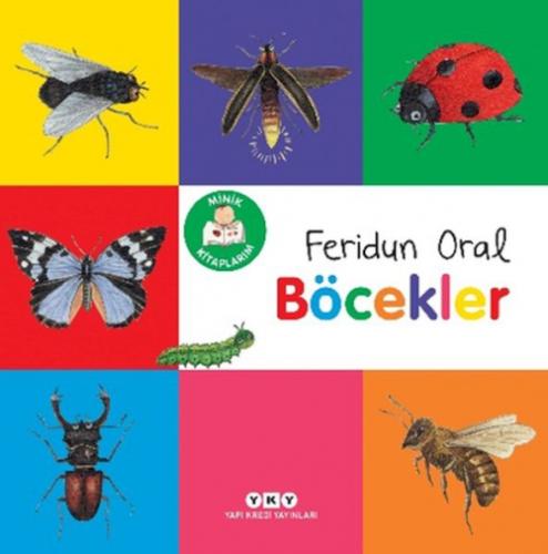 Minik Kitaplarım - Böcekler  Frontansicht 1