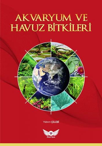 Akvaryum ve Havuz Bitkileri  Frontansicht 1