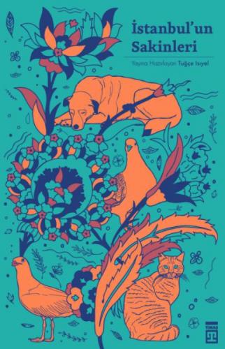 İstanbul'un Sakinleri  Frontansicht 1