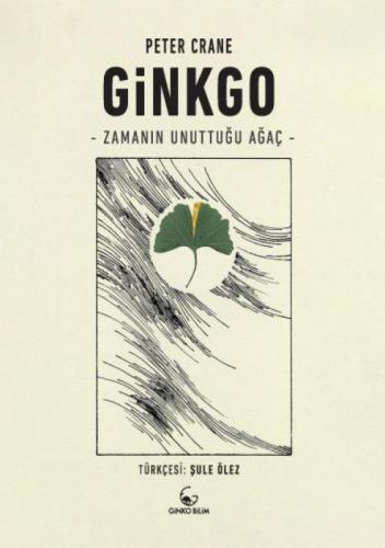 Ginkgo - Zamanın Unuttuğu Ağaç  Frontansicht 1