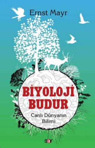 Biyoloji Budur  Frontansicht 1