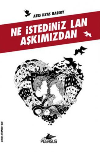 Ne İstediniz Lan Aþkımızdan  Frontansicht 1