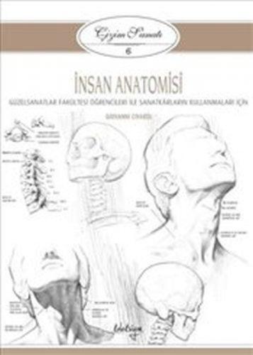 İnsan Anatomisi  Frontansicht 1