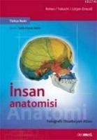 İnsan Anatomisi  Frontansicht 1