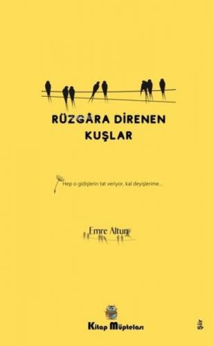Rüzgara Direnen Kuşlar  Frontansicht 1