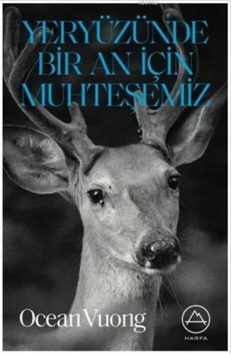 Yeryüzünde Bir An İçin Muhteşemiz  Frontansicht 1