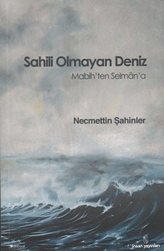 Sahili Olmayan deniz  Frontansicht 1