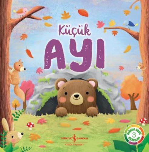 Küçük Ayı  Frontansicht 1