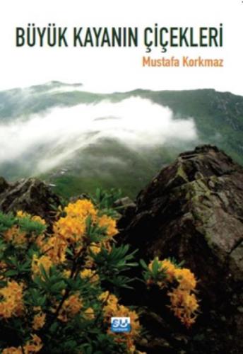 Büyük Kayanın Çiçekleri  Frontansicht 1