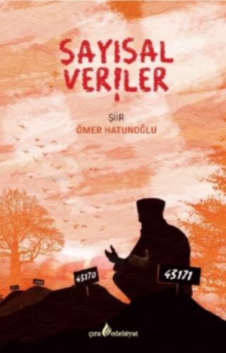 Sayısal Veriler  Frontansicht 1