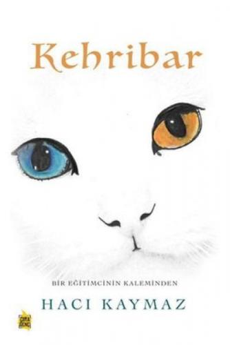 Kehribar  Frontansicht 1