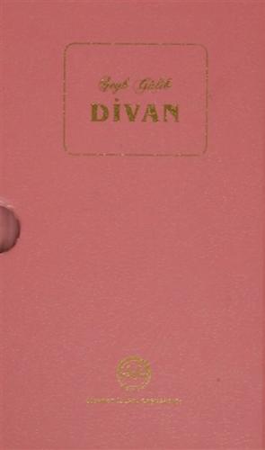 Divan-?eyh Galib  Frontansicht 1