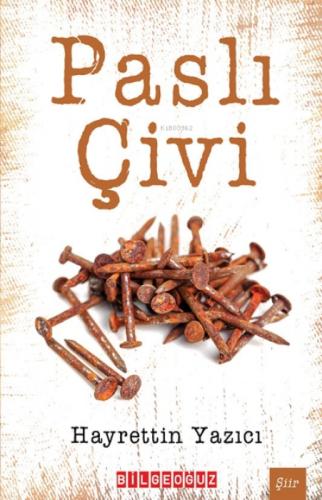 Paslı Çivi  Frontansicht 1