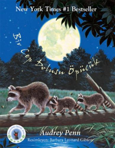 Bir Cep Dolusu Öpücük  Frontansicht 1