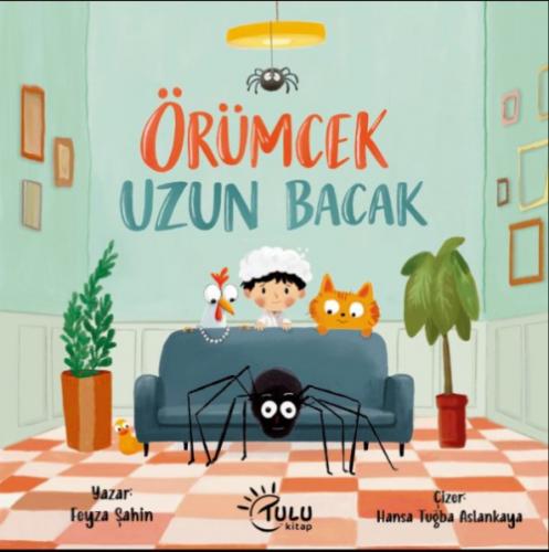 Örümcek Uzun Bacak  Frontansicht 1