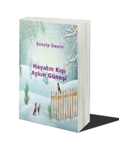 Hayatın Kışı Aşkın Güneşi  Frontansicht 1