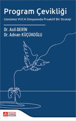 Program Çevikliği;Günümüz VUCA Dünyasında Proaktif Bir Strateji  Frontansicht 1