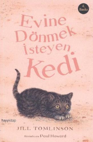 Evine Dönmek İsteyen Kedi  Frontansicht 1