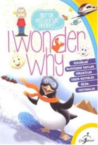 I Wonder Why  Frontansicht 1