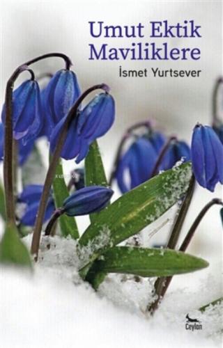 Umut Ektik Maviliklere  Frontansicht 1