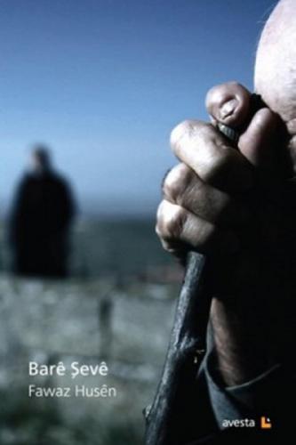 Bare Şeve  Frontansicht 1