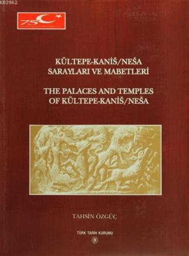 Kültepe-Kanis - Nesa Sarayları ve Mabetleri  Frontansicht 1