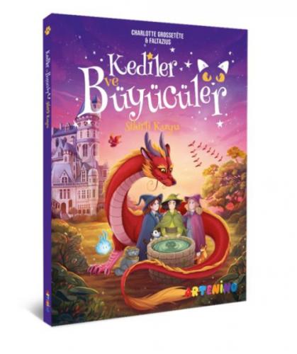 Kediler ve Büyücüler  Frontansicht 1