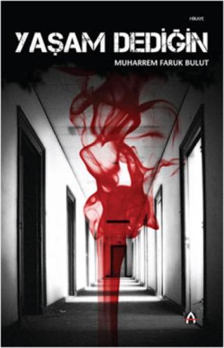 Yaþam Dediðin  Frontansicht 1