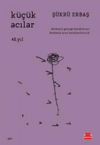 Küçük Acılar  Frontansicht 1