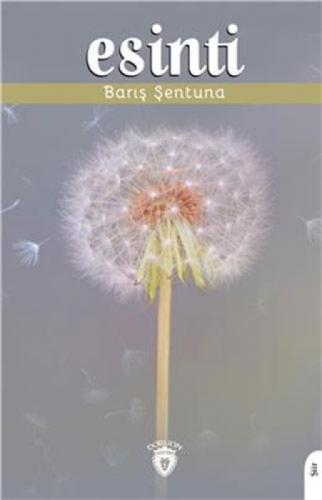 Esinti  Frontansicht 1