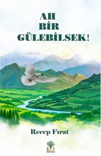Ah Bir Gülebilsek (Ciltli)  Frontansicht 1