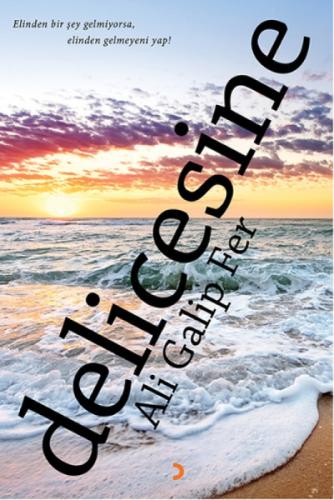 Delicesine  Frontansicht 1