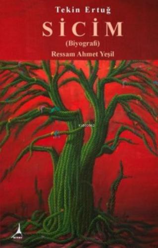 Sicim  Frontansicht 1