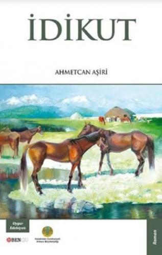 İdikut  Frontansicht 1