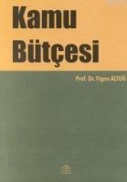 Kamu Bütçesi  Frontansicht 1