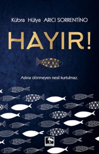 Hayır!  Frontansicht 1