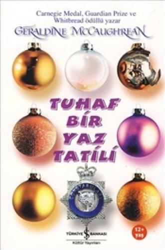 Tuhaf Bir Yaz Tatili  Frontansicht 1