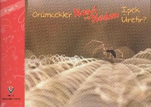 Örümcekler Nasıl ve Neden İpek Üretir (6 Yaş)  Frontansicht 1