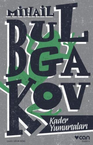 Kader Yumurtaları  Frontansicht 1