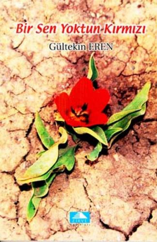 Bir Sen Yoktun Kırmızı  Frontansicht 1