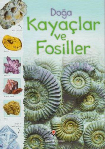 Doğa Kayaçlar ve Fosiller  Frontansicht 1