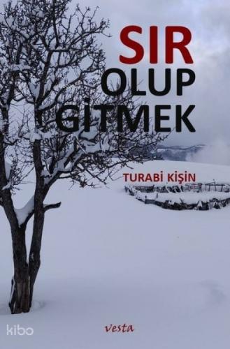 Sır Olup Gitmek  Frontansicht 1