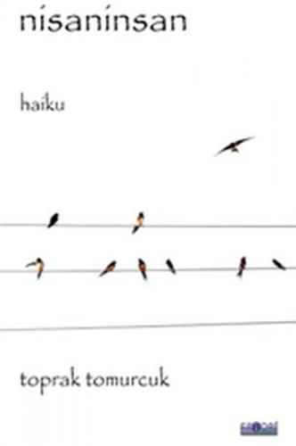 Nisaninsan  Frontansicht 1